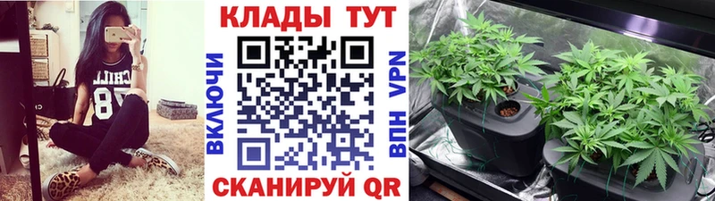 Купить закладку КОКАИН  Меф  Alpha PVP  Гашиш  Ковдор
