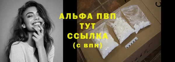 прущие крисы Горняк