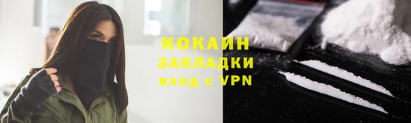 гидра Горно-Алтайск