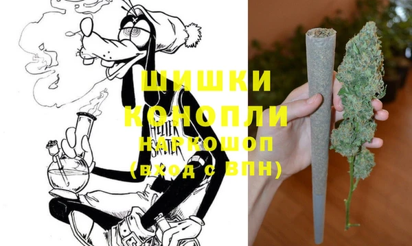 прущие крисы Горняк