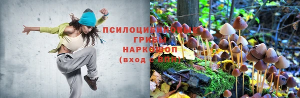 гидра Горно-Алтайск