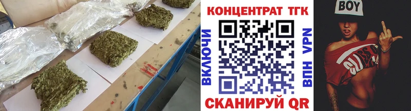 Купить закладки  Ковдор  ТГК жижа 