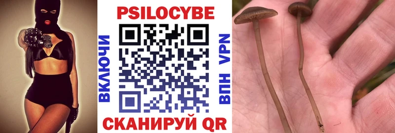 Галлюциногенные грибы Psilocybine cubensis  Купить где  Ковдор 