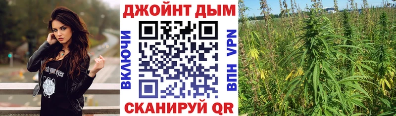 Купить  Ковдор  Шишки марихуана семена 